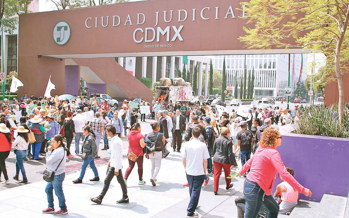 Recibe PJCDMX Más De 10 Mil Asuntos En El Primer Año De Impartir ...